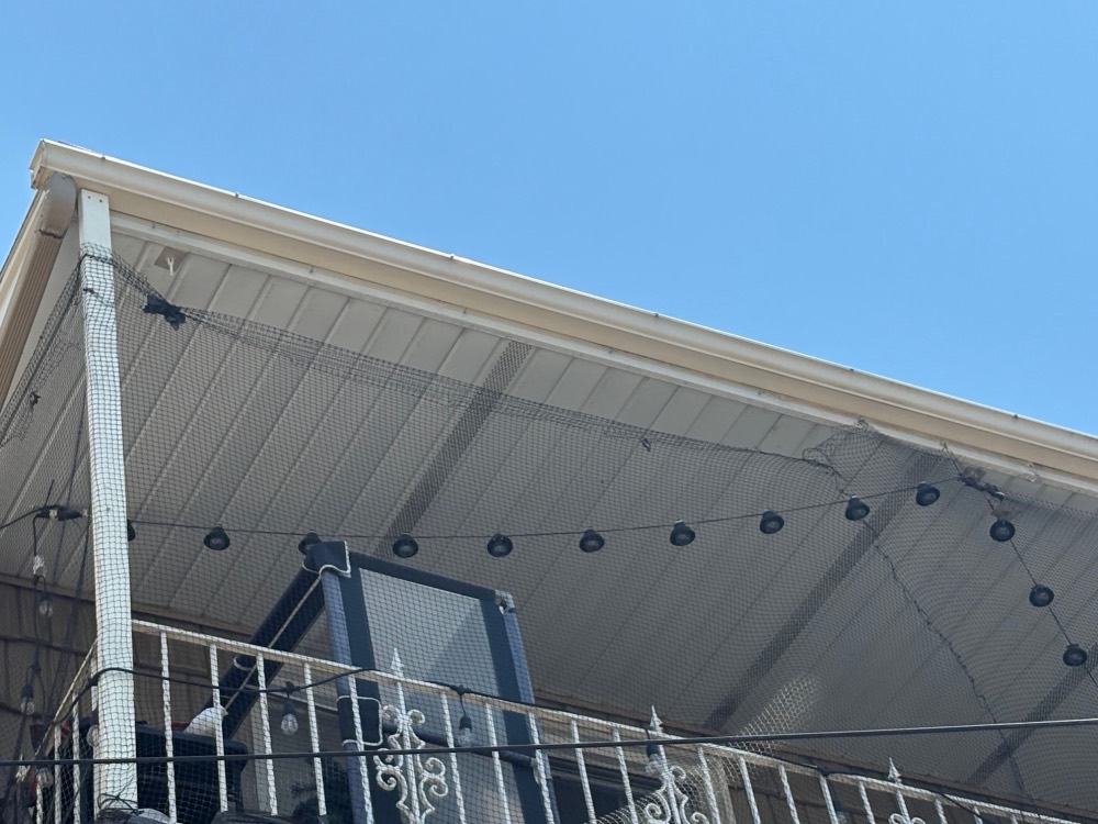 Bird netting installed poorly: loose and sagging with gaps along the eave
